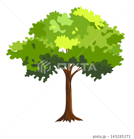 Realistic green tree. Isolated icon on white background. Spring tree for your design. Vector symbol sign. Plants, landscape design. Eco idea concept Realistic green tree. Isolated icon on white background. Spring tree for your design. Vector symbol sign. Plants, landscape design. Eco idea concept 143285171