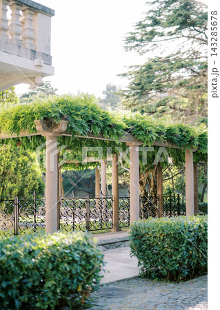 Bright Garden Scene With Elegant Fencing. Peaceful Mediterranean Yard With Shaded Plants Bright Garden Scene With Elegant Fencing. Peaceful Mediterranean Yard With Shaded Plants 143285678