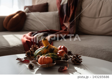 Autumnal arrangement with pumpkins and pinecones on a white table near a sofa Autumnal arrangement with pumpkins and pinecones on a white table near a sofa 143285686
