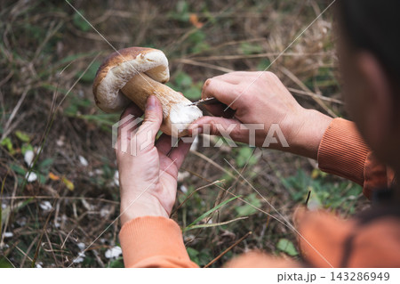 A mushroom picker cleans a beautiful edible mushroom found in the forest with a knife in his hands 143286949