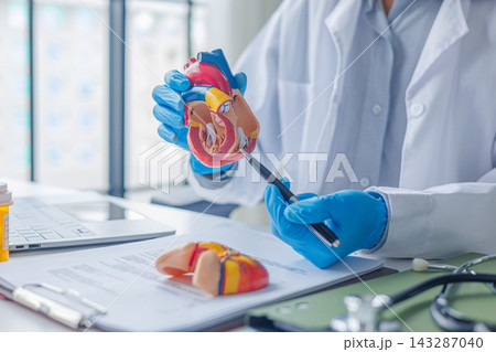 Doctor explaining heart anatomy using a cardiovascular model in clinic office Doctor explaining heart anatomy using a cardiovascular model in clinic office 143287040