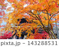 秋の南禅寺 143288531