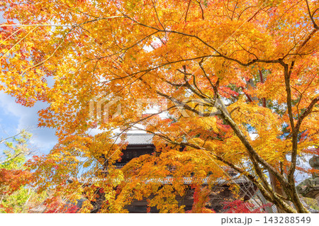 秋の南禅寺 秋の南禅寺 143288549