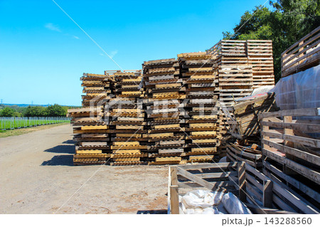 Stacked wooden pallets and crates sit outdoors beside a dirt road near a raspberry field, under a bright blue sky. 143288560