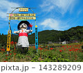 江里山の彼岸花 143289209