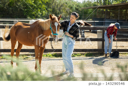 Young woman with horse in horse paddock 143290546