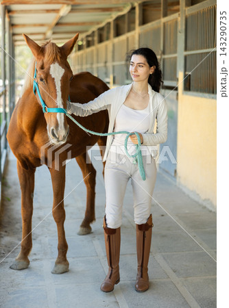 Armenian female worker takes horse out of stall, holds animal by bridle and leads pet for walk 143290735
