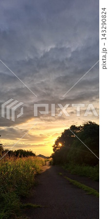 夕日の光へ続く草むらの小道とドラマチックな空 夕日の光へ続く草むらの小道とドラマチックな空 143290824