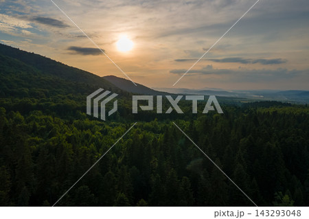 Aerial view of green pine forest with dark spruce trees covering mountain hills at sunset. Nothern woodland scenery from above 143293048