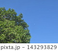 青空に浮かぶ月と雲 143293829