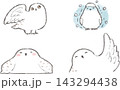 水彩のシロフクロウ 143294438