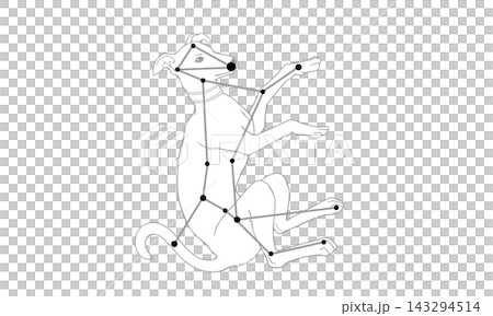 大犬座的單色線條畫(一隻大狗和星座線條的圖片) 大犬座的單色線條畫(一隻大狗和星座線條的圖片) 143294514