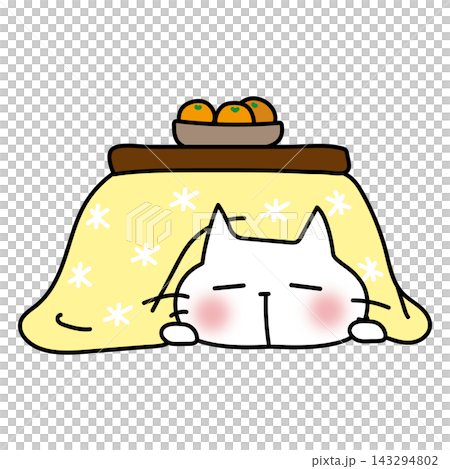 A white cat sleeping in a heated table (kotatsu) 143294802