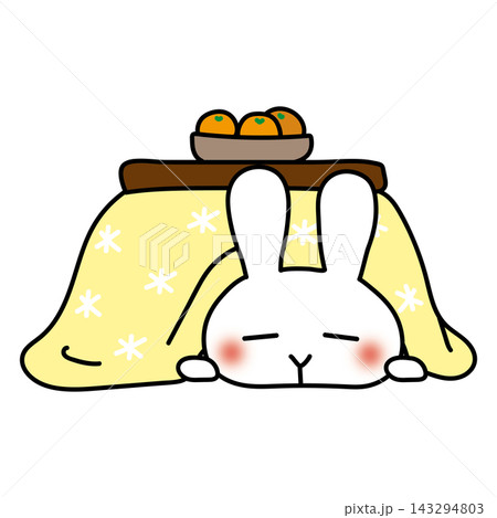 こたつで眠る白いうさぎ 143294803