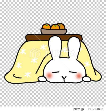 こたつで眠る白いうさぎ 143294803
