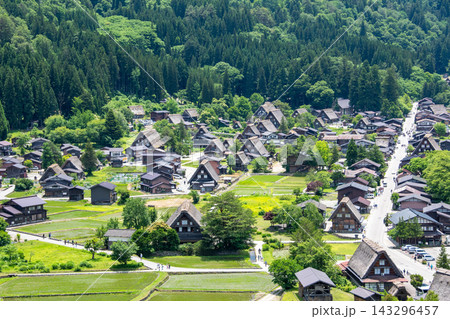 世界遺産、白川郷合掌造り集落の春、展望台からの眺め 世界遺産、白川郷合掌造り集落の春、展望台からの眺め 143296457
