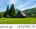世界遺産、白川郷合掌造り集落の春、三つ子合掌 143296578