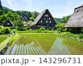 世界遺産、白川郷合掌造り集落　春、合掌造り家屋と田園風景 143296731