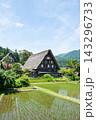 世界遺産、白川郷合掌造り集落　春、合掌造り家屋と田園風景 143296733