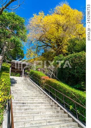 【神奈川県】爽やかな青空が広がる晩秋の荏柄天神社 【神奈川県】爽やかな青空が広がる晩秋の荏柄天神社 143296753