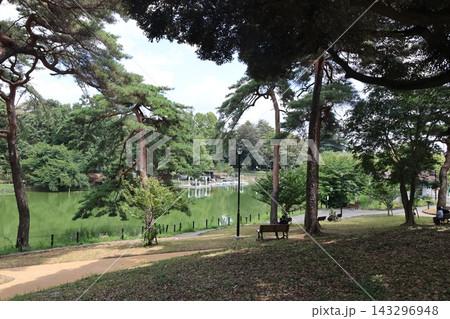 さいたま市大宮公園日本庭園の風景 さいたま市大宮公園日本庭園の風景 143296948