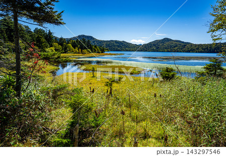 草紅葉と尾瀬沼北岸の風景 草紅葉と尾瀬沼北岸の風景 143297546