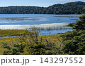 初秋の尾瀬、沼尻から尾瀬沼ヒュッテを目指して北岸コースを行く 143297552