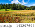 初秋の大江湿原、草紅葉と燧ケ岳の風景 143297694