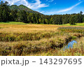 初秋の大江湿原、草紅葉と燧ケ岳の風景 143297695