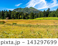 初秋の大江湿原、草紅葉と燧ケ岳の風景 143297699