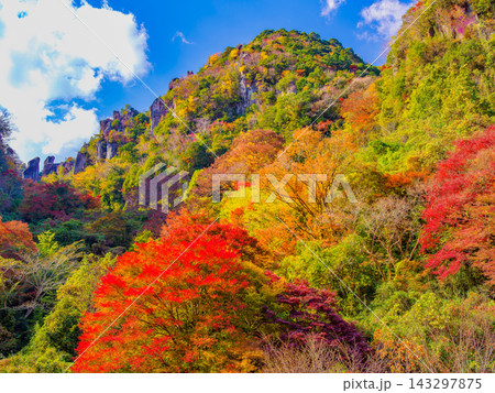 秋の耶馬渓の一目八景展望台から見頃を迎えた鮮やかな紅葉とそびえ立つ奇岩の岩山を捉えた渓谷風景 秋の耶馬渓の一目八景展望台から見頃を迎えた鮮やかな紅葉とそびえ立つ奇岩の岩山を捉えた渓谷風景 143297875