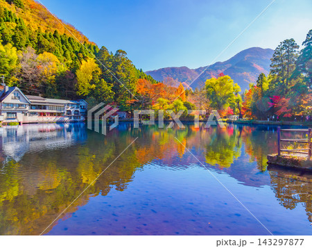 秋の金鱗湖で快晴の朝に水かがみのシンメトリーに映る湖畔の紅葉と遊歩道を散策する観光客を捉えた風景 143297877