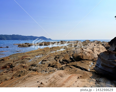 高知県土佐清水市の竜串海岸　大竹小竹や蜂の巣構造が見られる奇岩の海岸地形 143298629