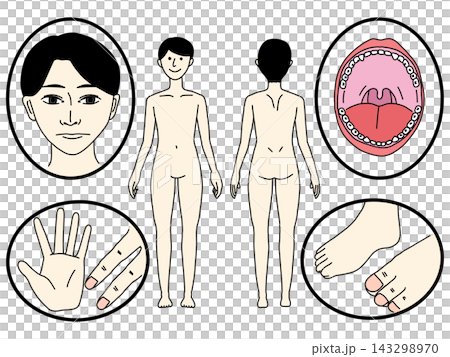 以臉部和身體(彩色)為重點的溝通板 以臉部和身體(彩色)為重點的溝通板 143298970