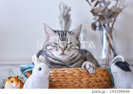 カゴの中でくつろぐ猫と動物のミニチュアたち カゴの中でくつろぐ猫と動物のミニチュアたち 143299046
