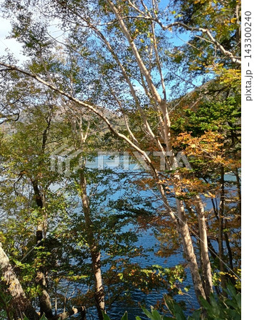 夏と秋が共存している然別湖畔 9月 夏と秋が共存している然別湖畔 9月 143300240