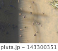 水辺の生態系を考える池の風景 143300351