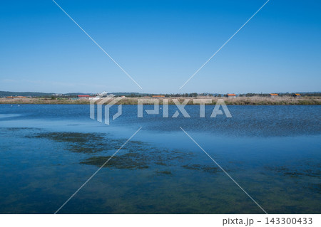 Calm blue waters of coastal salt marsh lagoon with rural village on horizon Calm blue waters of coastal salt marsh lagoon with rural village on horizon 143300433