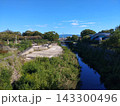 木々に囲まれた公園の広場と園路 143300496