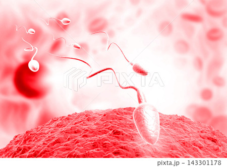 Eggs choose sperm, fertilization 143301178