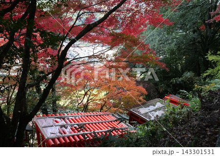秋の津和野太皷谷稲成神社 143301531