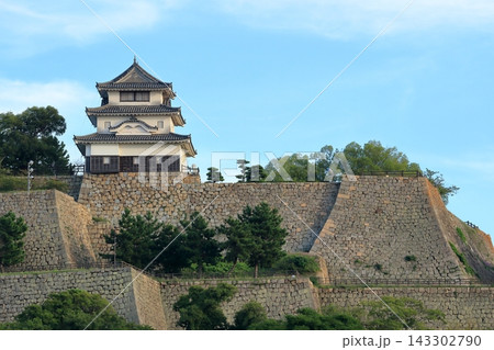 香川県丸亀市　丸亀城 143302790