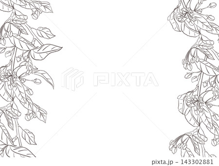 Decorative border with black line vector illustration of apple tree budding branches. Cherry flowers, buds, and leaves outline hand drawn. Minimalist spring fruit twig frame with blank for text. Decorative border with black line vector illustration of apple tree budding branches. Cherry flowers, buds, and leaves outline hand drawn. Minimalist spring fruit twig frame with blank for text. 143302881
