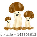 仲良く並ぶマツタケ、キノコの親子 143303612