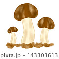 仲良く並ぶマツタケ、キノコ 143303613