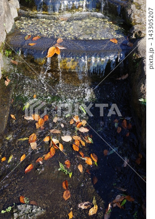 海老名北部公園親水広場の波状の階段水路5 海老名北部公園親水広場の波状の階段水路5 143305207