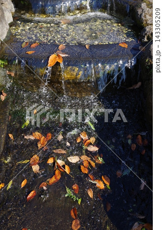 海老名北部公園親水広場の波状の階段水路7 海老名北部公園親水広場の波状の階段水路7 143305209