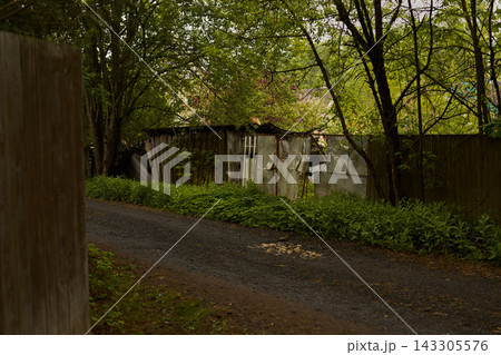 Overgrown backyard with weathered wooden fence, narrow dirt path, dense trees, and rusted shed details at muted dusk light Overgrown backyard with weathered wooden fence, narrow dirt path, dense trees, and rusted shed details at muted dusk light 143305576