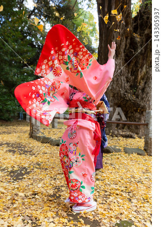黄色く色づいたイチョウの落葉を空中に振り上げる着物姿の女の子、七五三の女の子 黄色く色づいたイチョウの落葉を空中に振り上げる着物姿の女の子、七五三の女の子 143305937