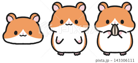 かわいいハムスターのイラストセット	 143306111